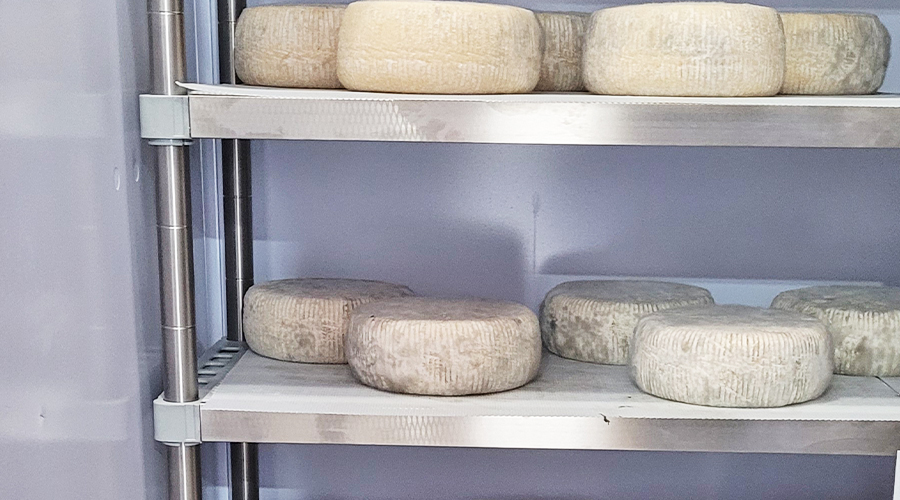 INOXPLAST est la clayette idéale pour l'affinage des fromages INOXPLAST est la clayette idéale pour l'affinage des fromages