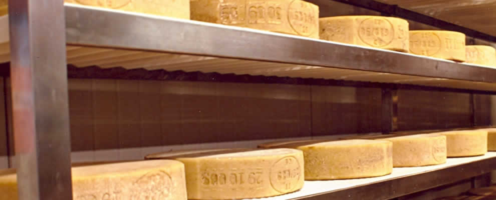 Ecco come si presenta uno scaffale FORMPLAST per la stagionatura dei formaggi